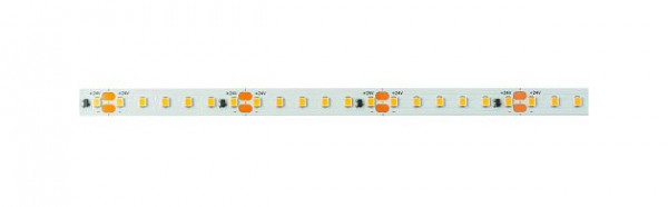 Ruban LED flexible rutec, 24V, intérieur, 2700K VARDAflex Eco Plus Rouleau de 15 mètres, sans embout, 82217-V2