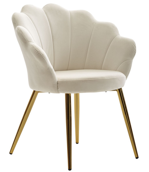 Wohnling chaise de salle à manger tulipe velours blanc rembourré, chaise de cuisine avec pieds dorés, chaise coque design scandinave, WL6.438